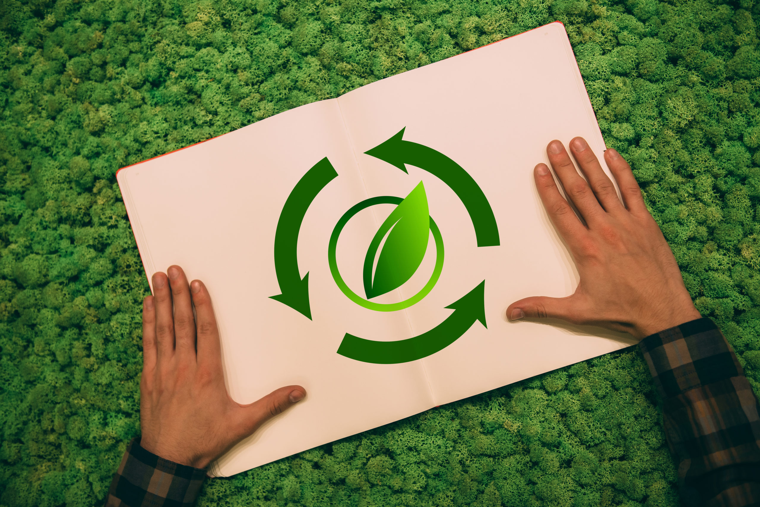 zdjęcie przestawiające halę produkcyjną zdjęcie przestawiające halę produkcyjną